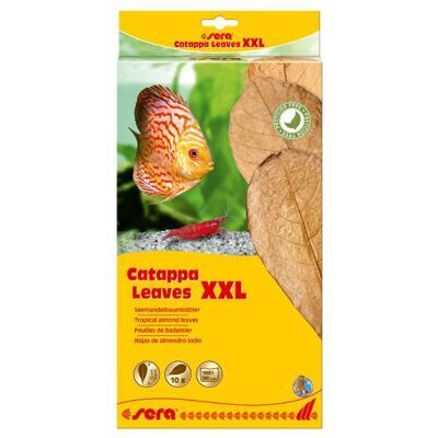 sera Catappa Leaves XXL 30 - 35 cm (10 St)