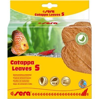 sera Catappa Leaves S 10 - 15 cm (10 St)