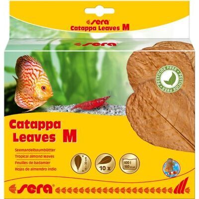 sera Catappa Leaves M 16 - 20 cm (10 St)