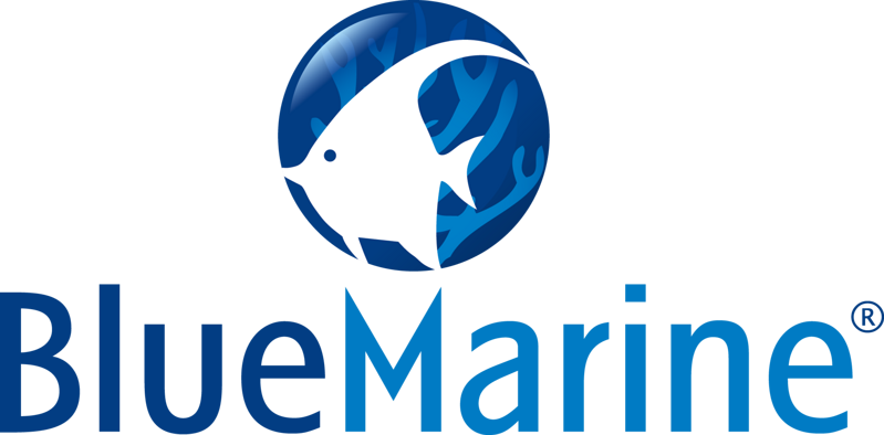 Blue Marine Logo
