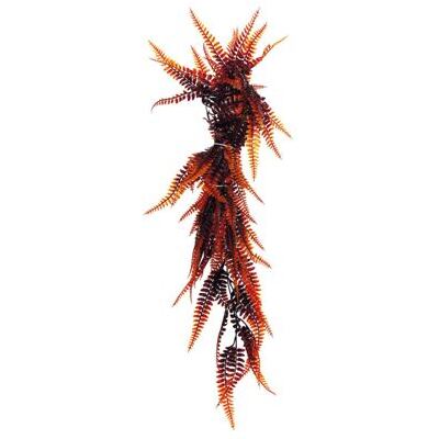 REPTO PLANT REBEN ORANGE FARN 60 CM