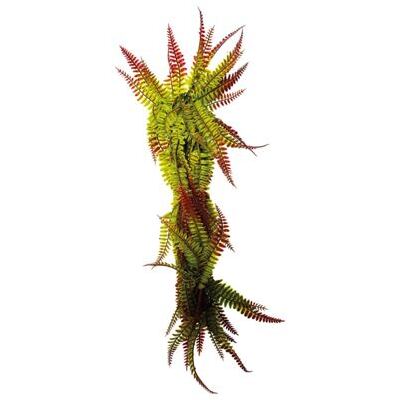 REPTO PLANT REBEN ROT/GRUEN FARN 60 CM