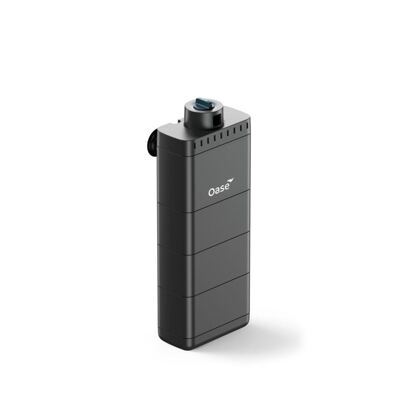 EcoFlow 100