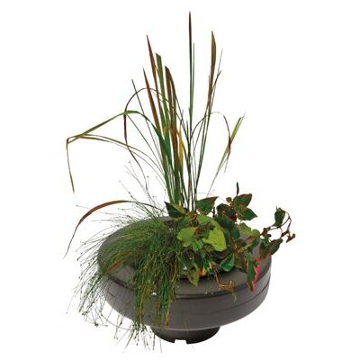 SCHWIMMENDER PFLANZENKORB Ø 30CM