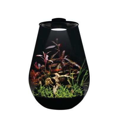 BIOART DROP 345 SCHWARZ