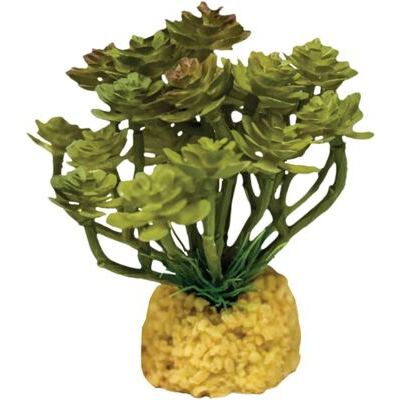 REPTO PLANT CACTUS TREE