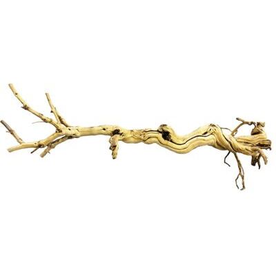 REPTO DRACHENBAUM 90-105 CM