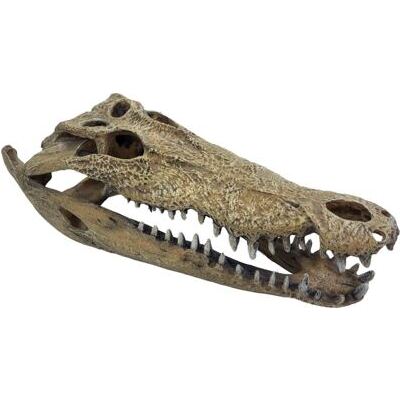 REPTO DECO CROCODILE XXL