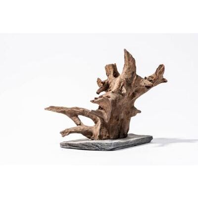 Me Euca Wood on Slate M (28-35 cm) [P6]
