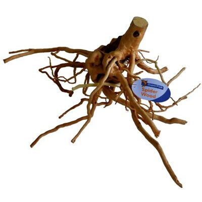 SPIDERWOOD LARGE