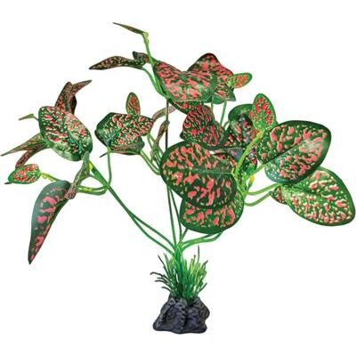 REPTO PLANT STANDING RED/GREEN