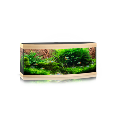 Vision 450 LED helles Holz (2021)
