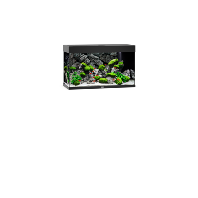Rio 125 LED schwarz