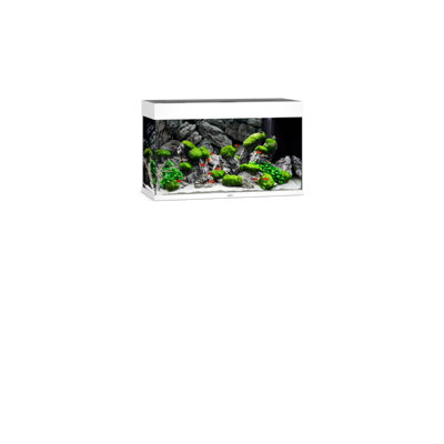 Rio 125 LED weiß