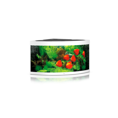 Trigon 350 LED weiß