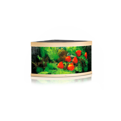Trigon 350 LED helles Holz