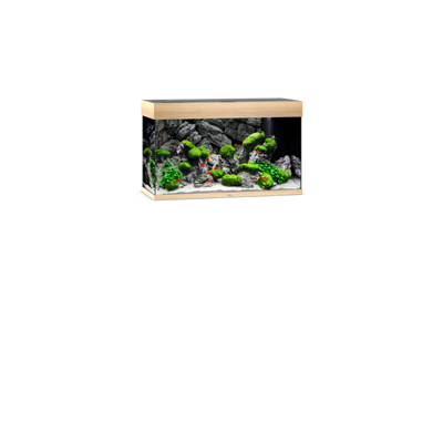 Rio 125 LED helles Holz