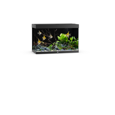 Rio 290 LED schwarz