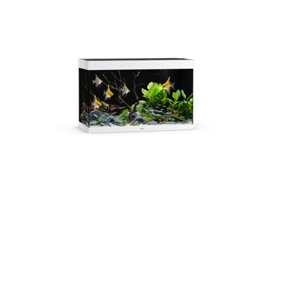 Rio 290 LED weiß