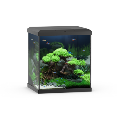 Vio Cube 54 schwarz/black