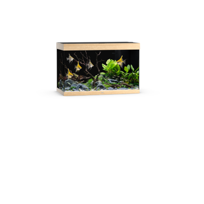 Rio 290 LED helles Holz