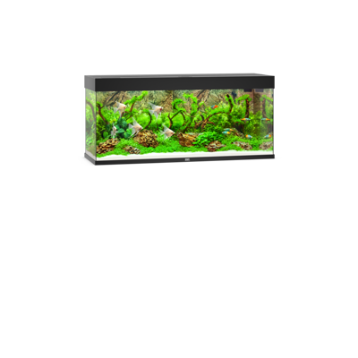 Rio 240 LED schwarz