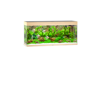 Rio 240 LED helles Holz