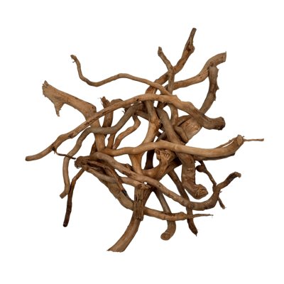 Spider Twigs Root 250 g