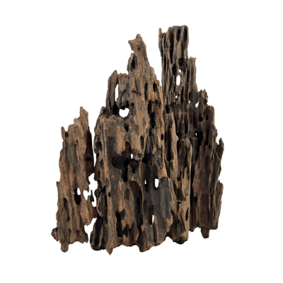 Dragonscale Wood M