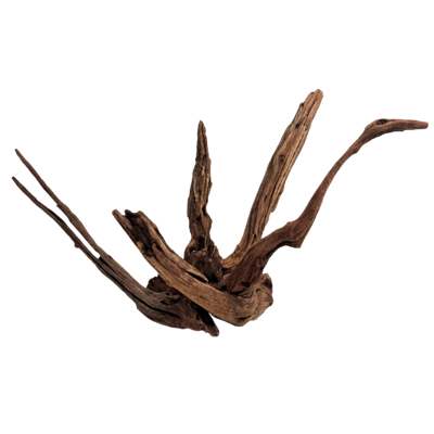 Longhorn Wood M