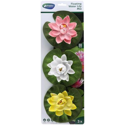 BA Floating Water Lily Mix