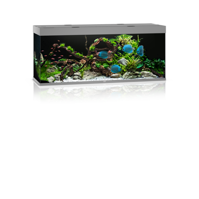 Rio 450 LED grau