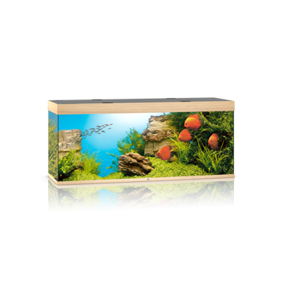 Rio 450 LED helles Holz