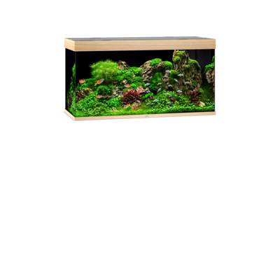 Rio 350 LED helles Holz