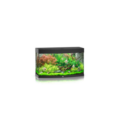 Vision 180 LED schwarz