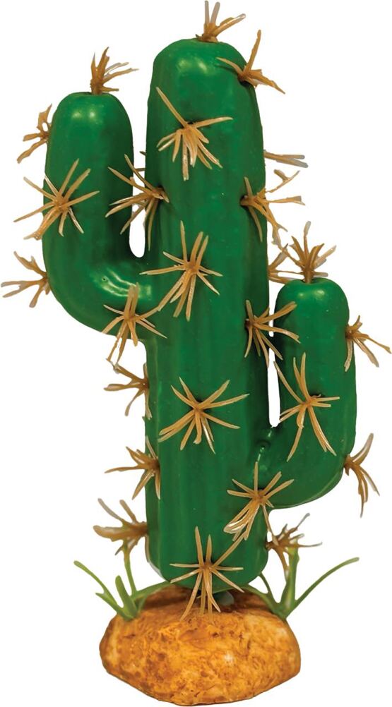 REPTO PLANT CACTUS TRIDENT L
