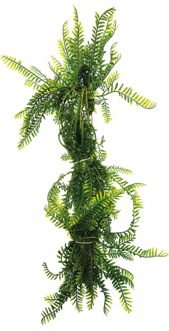 REPTO PLANT REBEN GRUEN SPARGEL 60 CM