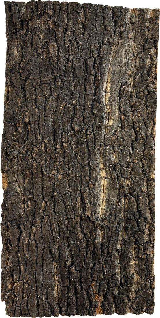 REPTO KORK PLATTE 60 X 30 CM