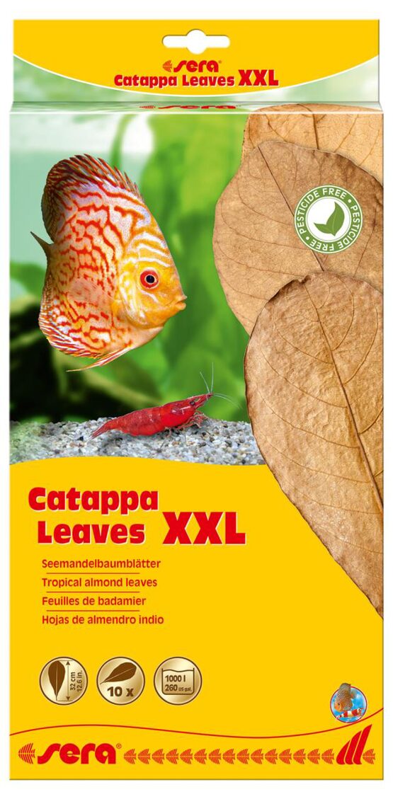 sera Catappa Leaves XXL 30 - 35 cm (10 St)