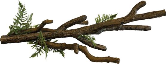 REPTO DECO AESTE  XL