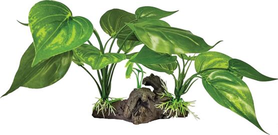 REPTO PLANT ON DECO LIGHT GREEN