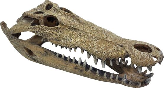 REPTO DECO CROCODILE XXL