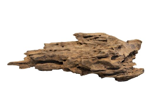 HONEYCOMB WOOD MEDIUM
