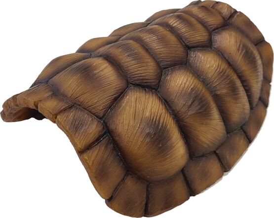REPTO DECO TORTOISE M