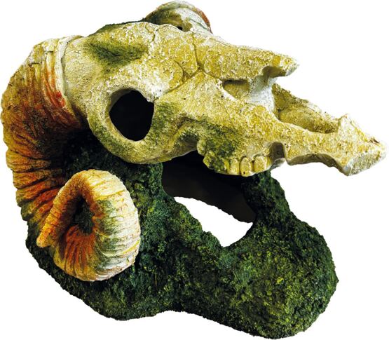 REPTO DECO ZIEGEN SCHAEDEL