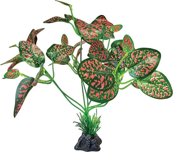 REPTO PLANT STANDING RED/GREEN