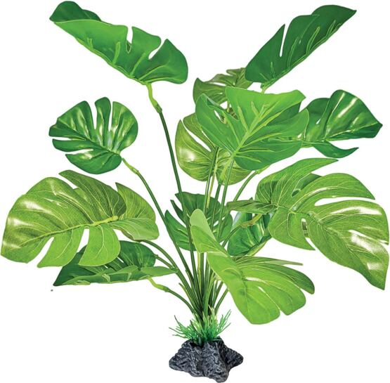 REPTO PLANT STANDING MONSTERA