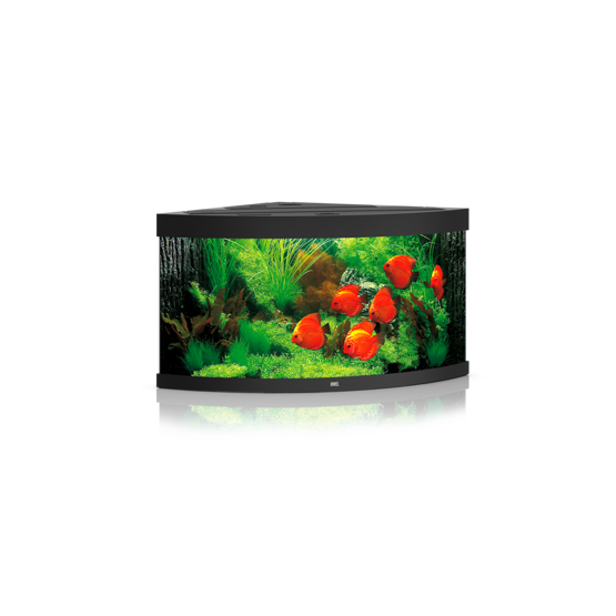 Trigon 350 LED schwarz