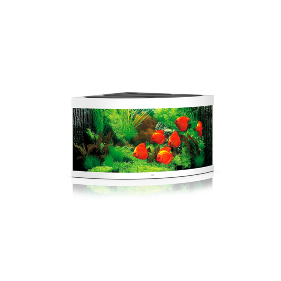 Trigon 350 LED weiß