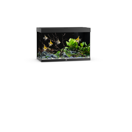Rio 290 LED schwarz